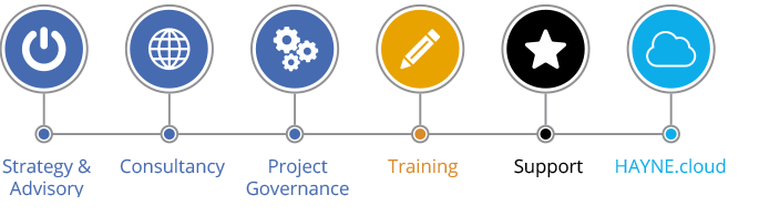 HAYNE solutions services diagram