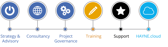 - HAYNE Solutions HAYNE solutions services diagram