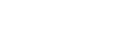 HAYNE Solutions